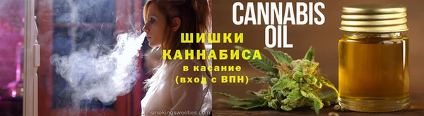 стаф Гусиноозёрск