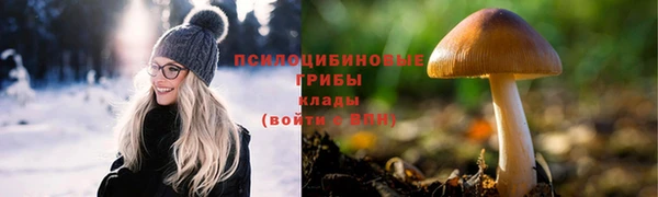 МДПВ Дмитровск