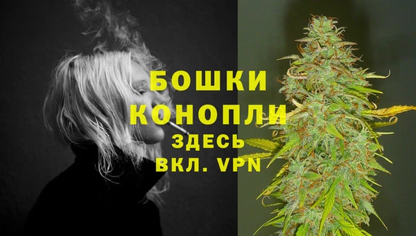 МДПВ Дмитровск