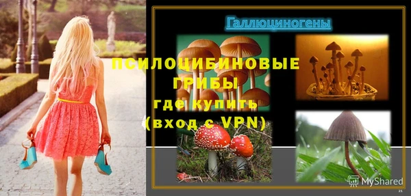 синтетический гашиш Дмитров