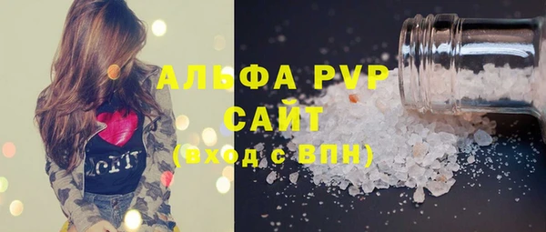 стаф Елабуга
